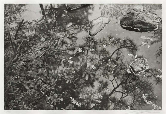 Lee Friedlander. Cherry Blossom Time in Japan - photo 20