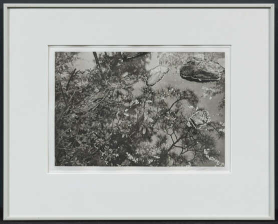 Lee Friedlander. Cherry Blossom Time in Japan - photo 21