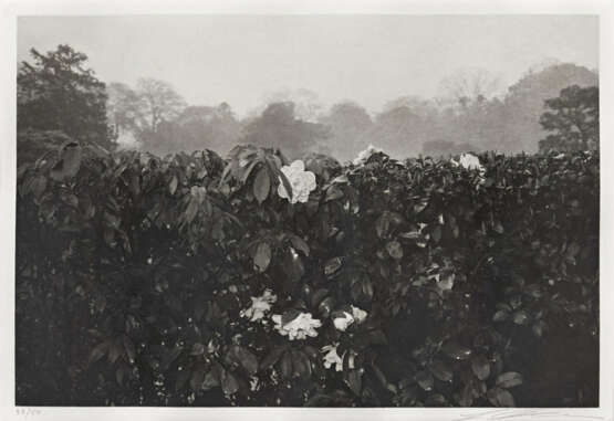 Lee Friedlander. Cherry Blossom Time in Japan - photo 23