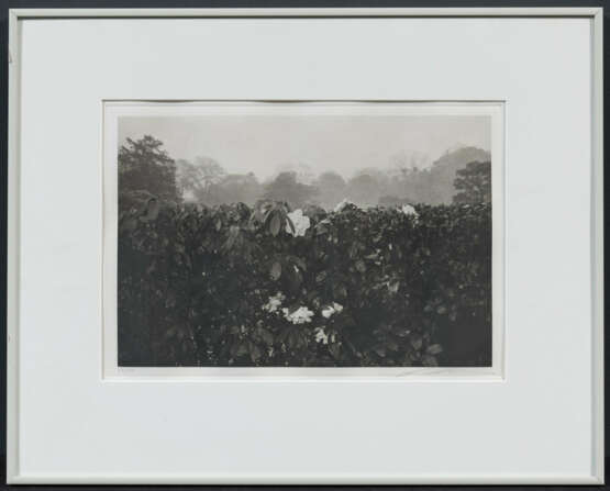 Lee Friedlander. Cherry Blossom Time in Japan - photo 24