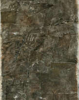 Gerhard Hoehme. meta - topographica