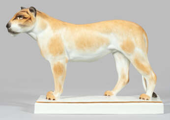 Große Meissen Tierfigur einer Löwin
