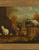 Melchior de Hondecoeter