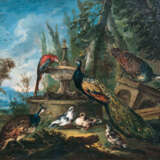 Giovanni Crivelli ''Pfaue, Tauben, Perlhuhn und ein Ara am Brunnen'' - photo 1