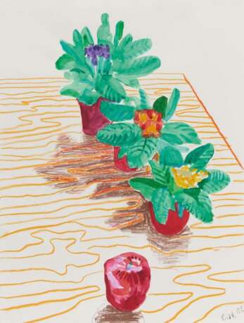 Purple, Pink and Yellow African Violets with Apple on Table, New York - photo 1