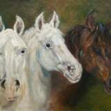 "Porträts von drei Pferden", Öl/ Lw., undeutl. sign. u.r., 67x87 cm, Rahmen - Foto 1