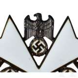 An Order of the German Eagle 3rd Class 1937-43 by Godet & Co., in its original case of issue - Foto 5