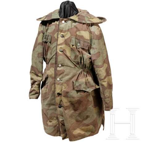 Tarnparka der Waffen-SS - photo 1