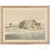 Leigh Voight, "Leopard drinking", Südafrika, datiert 1997 - photo 1