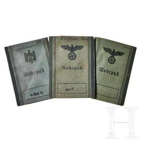 A Small Collection of Waffen SS Wehrpass - photo 1