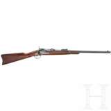 Springfield Mod. 1873 Carbine - photo 1