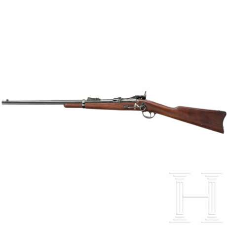 Springfield Mod. 1873 Carbine - photo 2