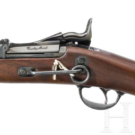 Springfield Mod. 1873 Carbine - photo 5