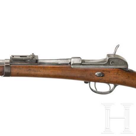 Werder-Gewehr M 1869 - photo 5