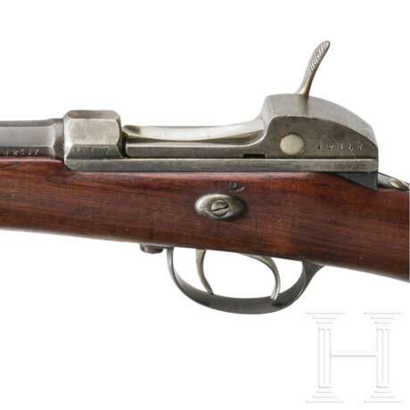 Werder-Gewehr M 1869, aptiert - photo 6