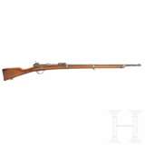 Werder-Gewehr M 1869, aptiert - photo 1