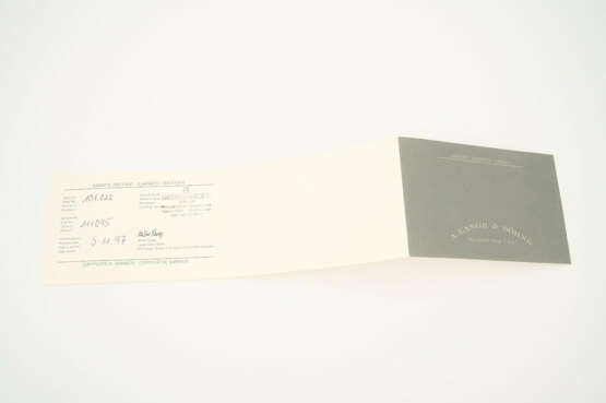 A. Lange & Söhne. Lange 1 - photo 8