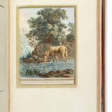 LA FONTAINE, Jean de (1621-1695) et Jean-Baptiste OUDRY (1686-1755) - фото 8