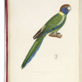 DUMONT D`URVILLE, Jules-S&#233;bastien-C&#233;sar (1790-1842) - photo 4