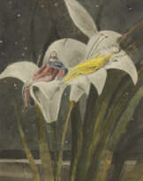 WILLIAM BLAKE (1757-1827)