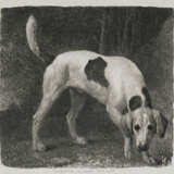GEORGE STUBBS (1724-1806) - Foto 1