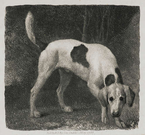 GEORGE STUBBS (1724-1806) - Foto 1