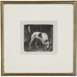 GEORGE STUBBS (1724-1806) - Foto 2
