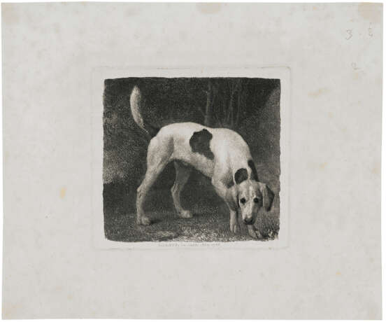 GEORGE STUBBS (1724-1806) - Foto 3