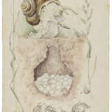 BEATRIX POTTER (1866-1943) - Foto 1