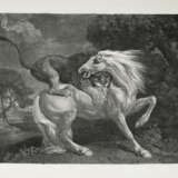 GEORGE STUBBS (1724-1806) - photo 1