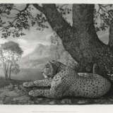 GEORGE STUBBS (1724-1806) - photo 1