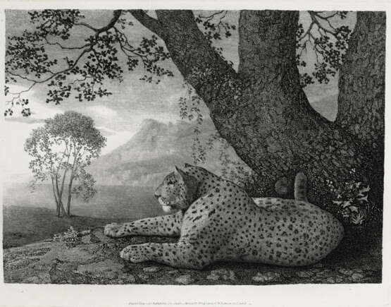 GEORGE STUBBS (1724-1806) - photo 1