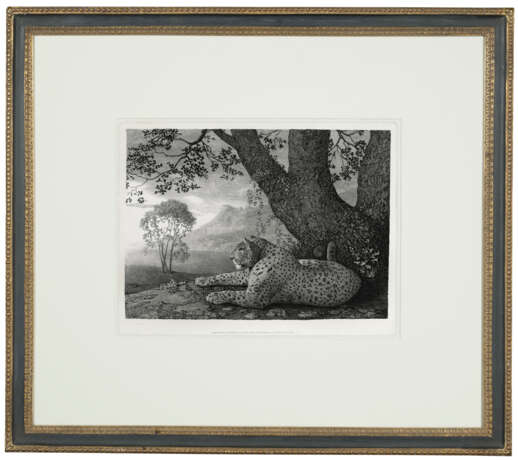 GEORGE STUBBS (1724-1806) - photo 2