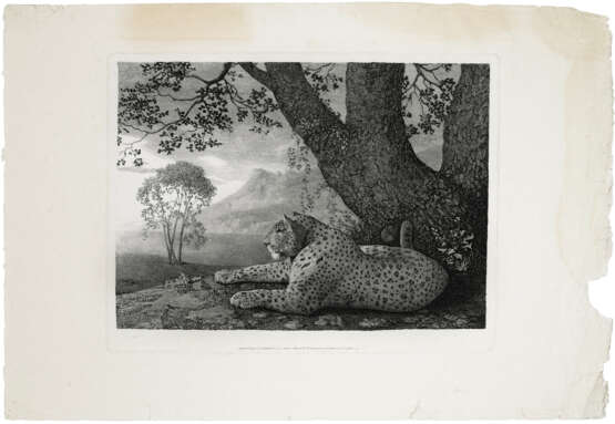 GEORGE STUBBS (1724-1806) - photo 3