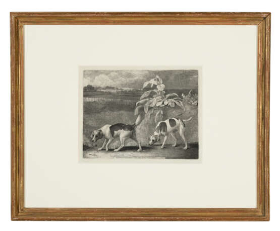 GEORGE STUBBS (1724-1806) - photo 2