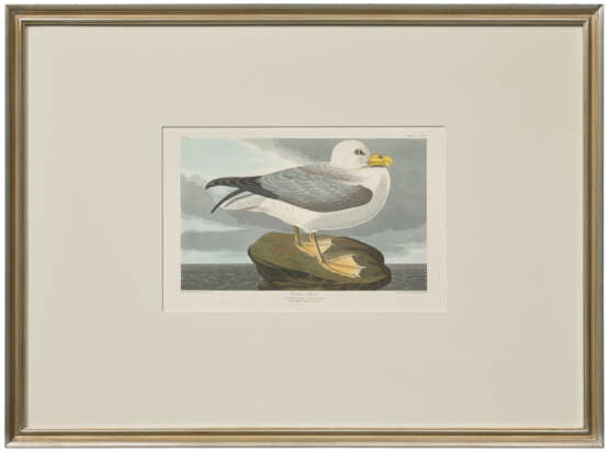AFTER JOHN JAMES AUDUBON (1785-1851), BY ROBERT HAVELL (1793-1878) - photo 2
