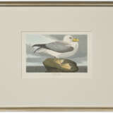 AFTER JOHN JAMES AUDUBON (1785-1851), BY ROBERT HAVELL (1793-1878) - photo 2