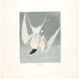 AFTER JOHN JAMES AUDUBON (1785-1851), BY ROBERT HAVELL (1793-1878) - photo 1