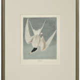AFTER JOHN JAMES AUDUBON (1785-1851), BY ROBERT HAVELL (1793-1878) - photo 2