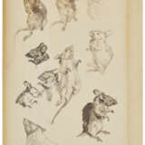 BEATRIX POTTER (1866-1943) - photo 1