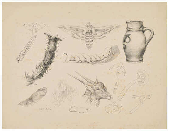 BEATRIX POTTER (1886-1943) - Foto 1