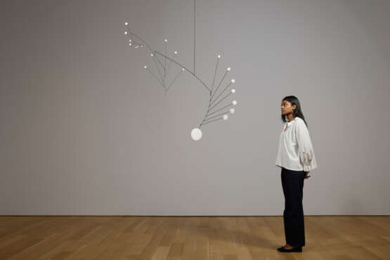 ALEXANDER CALDER (1898-1976) - photo 4