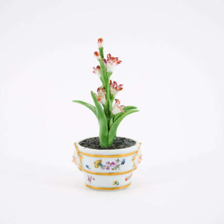 Kleine Gießkanne und Miniatur Blumentopf mit blühender Pflanze - Foto 3