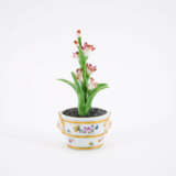 Kleine Gießkanne und Miniatur Blumentopf mit blühender Pflanze - Foto 3