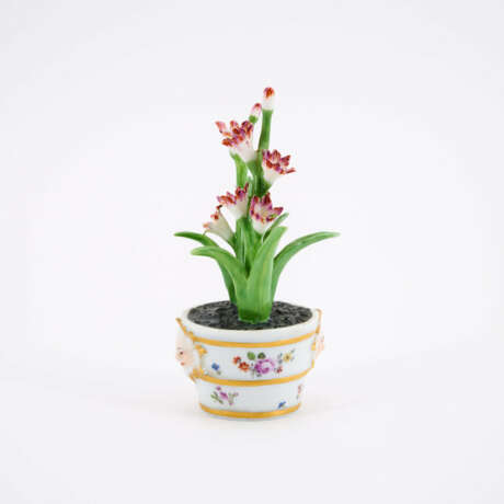 Kleine Gießkanne und Miniatur Blumentopf mit blühender Pflanze - Foto 12