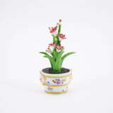 Kleine Gießkanne und Miniatur Blumentopf mit blühender Pflanze - Foto 12