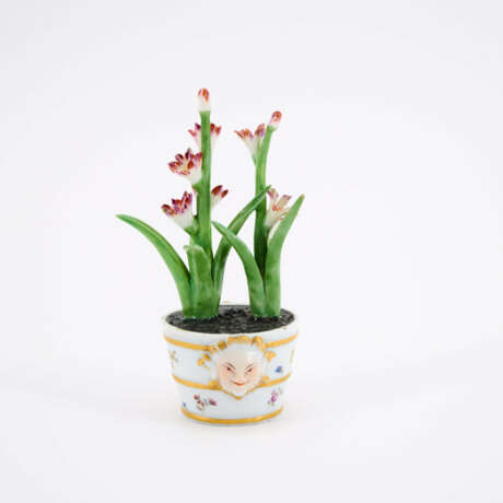 Kleine Gießkanne und Miniatur Blumentopf mit blühender Pflanze - Foto 13