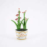 Kleine Gießkanne und Miniatur Blumentopf mit blühender Pflanze - Foto 13