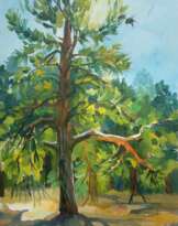 Сосна/Pine Сосна/Pine