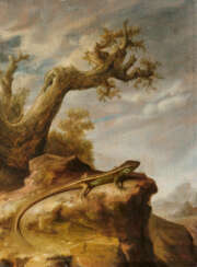 Lizard on a Rock Ledge